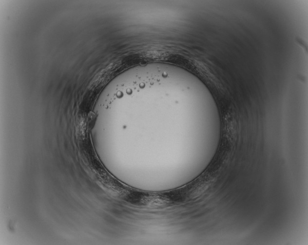 X0000101660597200807241419