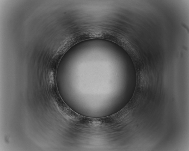 X0000101660598200807241419