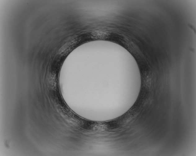 X0000101660599200807241419