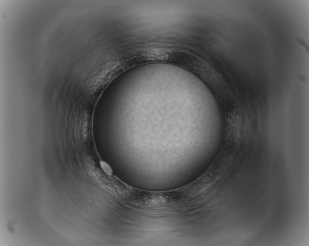 X0000101660600200807241419