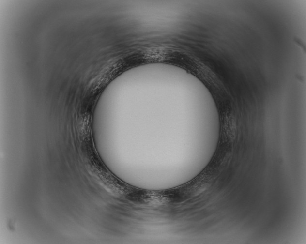 X0000101660601200807241419