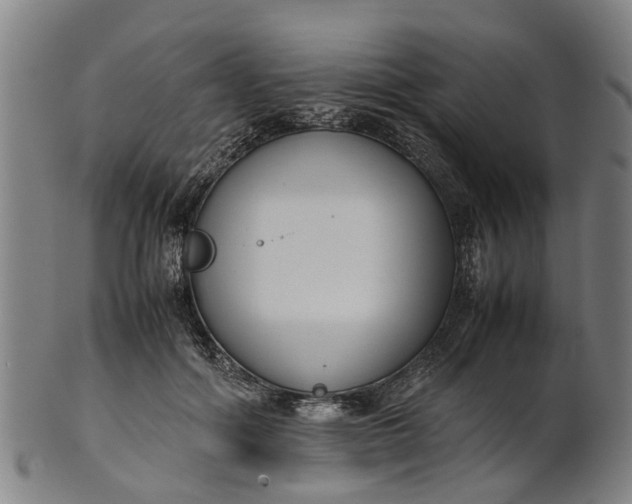 X0000101660602200807241419