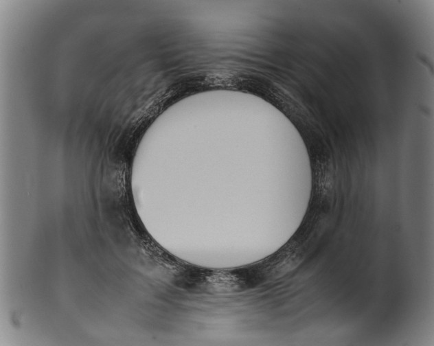 X0000101660603200807241419