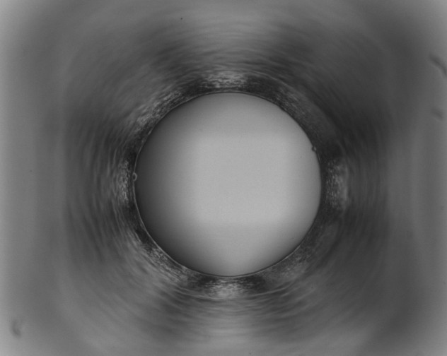 X0000101660604200807241419