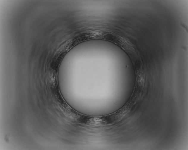 X0000101660607200807241419