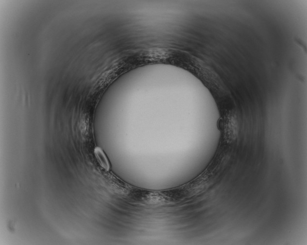 X0000101660608200807241419