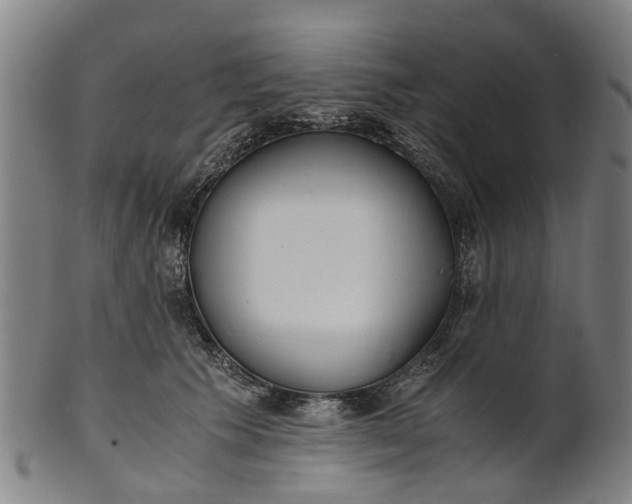 X0000101660609200807241419