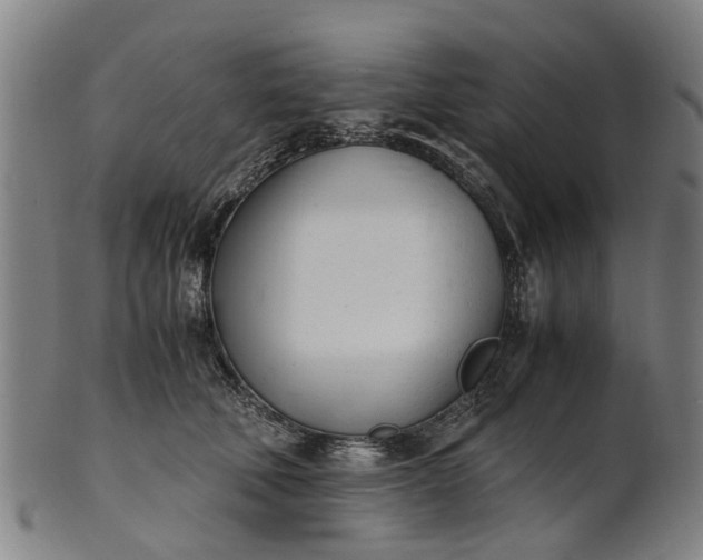 X0000101660610200807241419