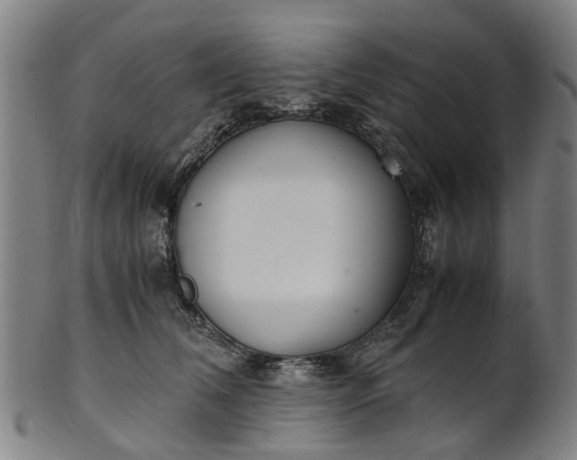 X0000101660612200807241419