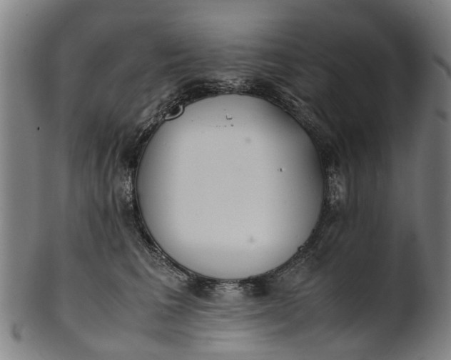 X0000101660613200807241419