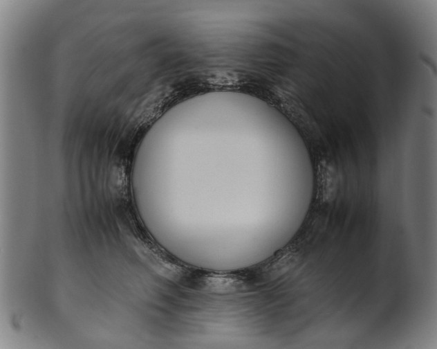 X0000101660614200807241419