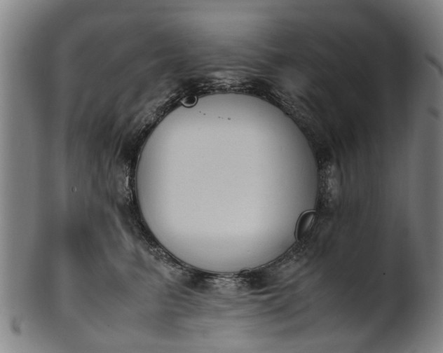 X0000101660615200807241419