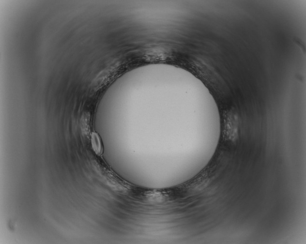 X0000101660616200807241419