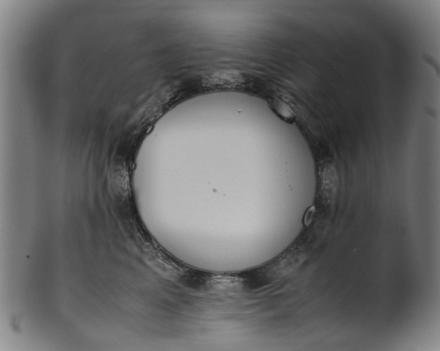 X0000101660617200807241419