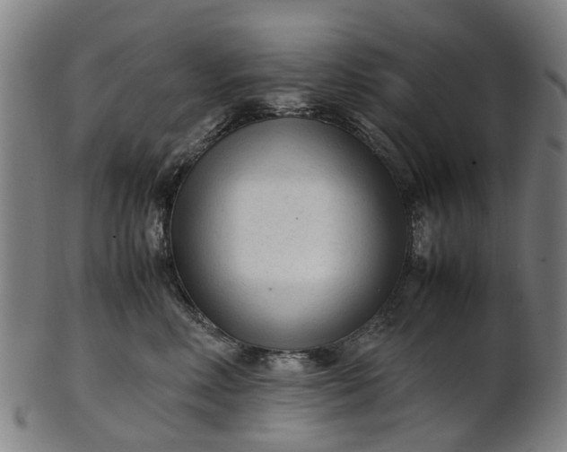 X0000101660618200807241419