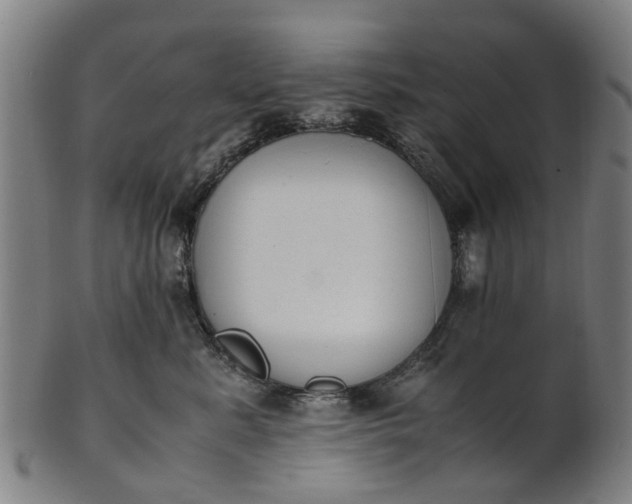 X0000101660619200807241419