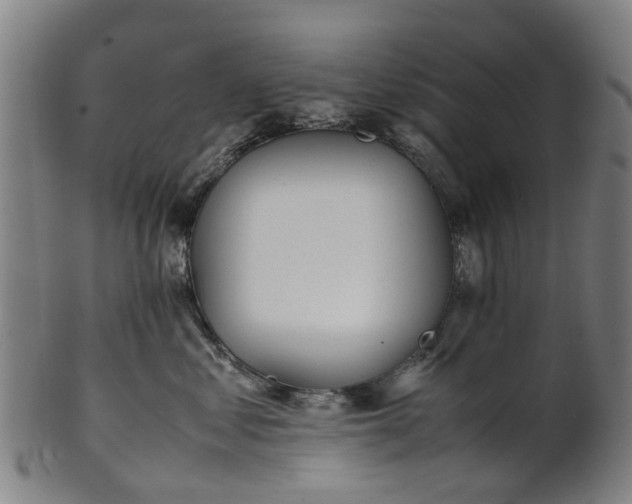 X0000101660621200807241419