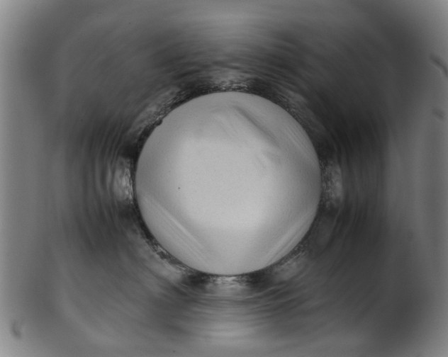 X0000101660622200807241419