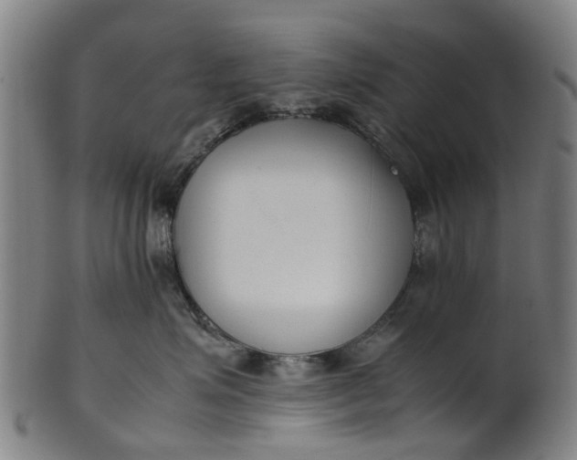 X0000101660623200807241419