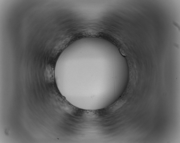 X0000101660624200807241419