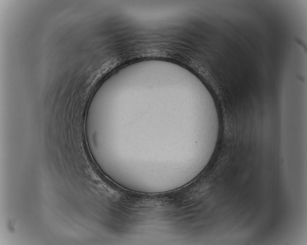 X0000101660625200807241418