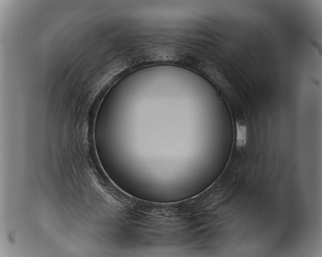 X0000101660627200807241418