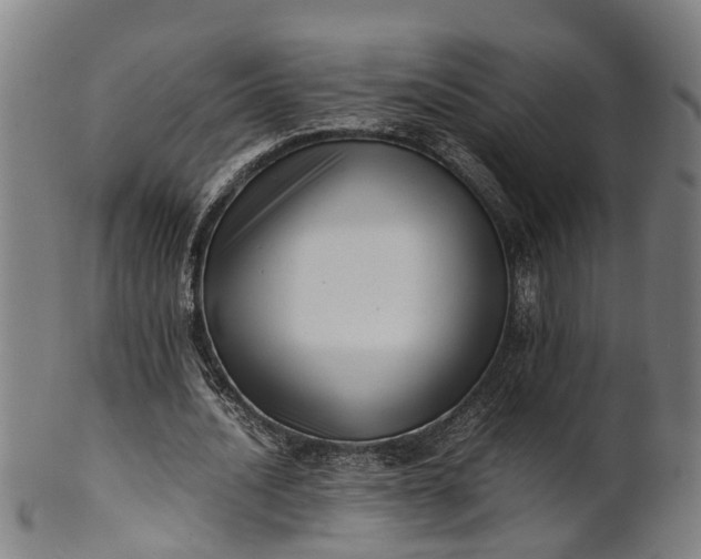 X0000101660628200807241418