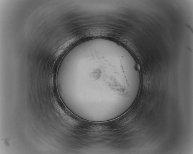 X0000101660629200807241418