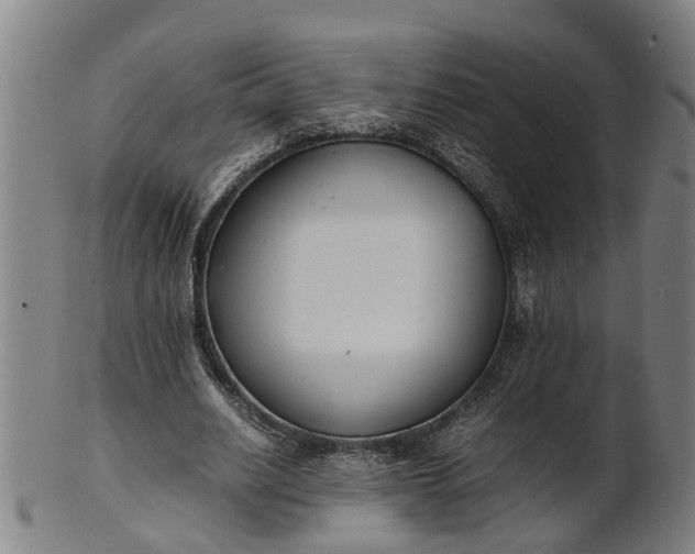 X0000101660630200807241418