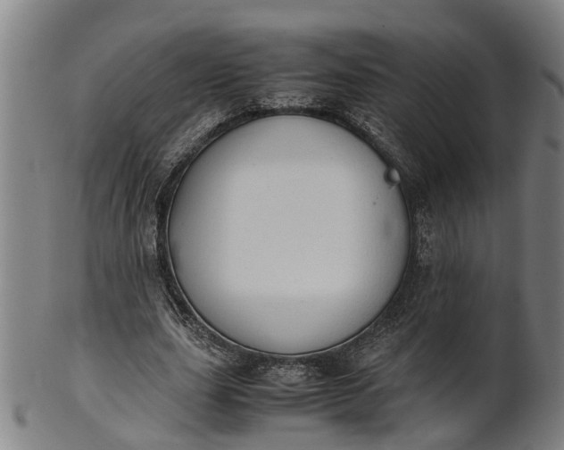 X0000101660631200807241418