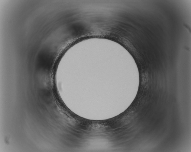 X0000101660632200807241418