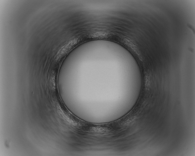 X0000101660633200807241418