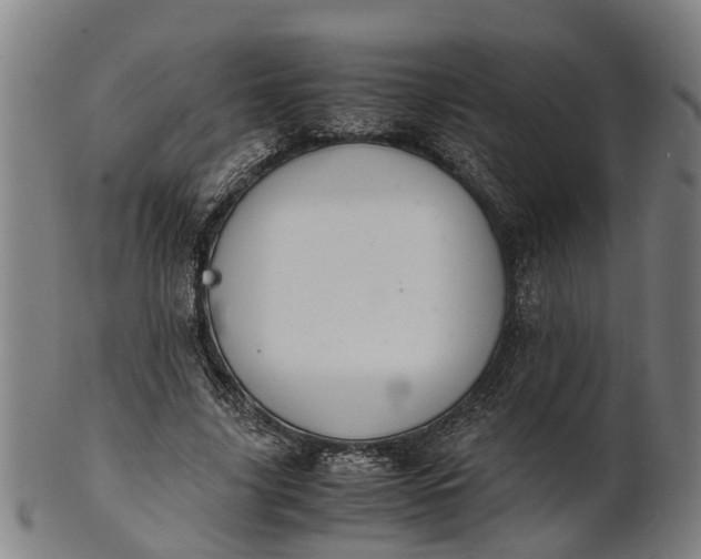 X0000101660635200807241418