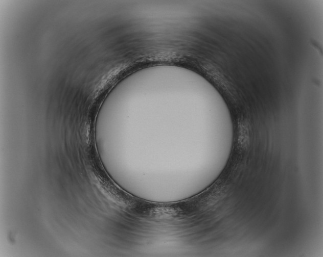 X0000101660636200807241418