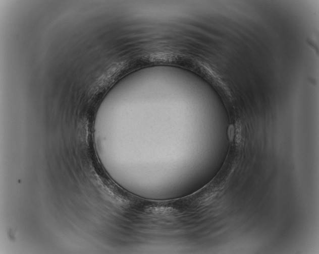 X0000101660637200807241418