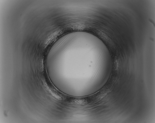 X0000101660638200807241418