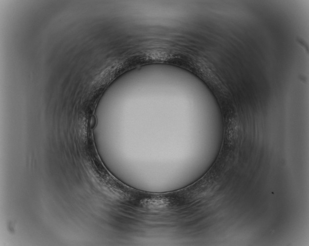 X0000101660639200807241418