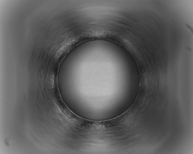 X0000101660640200807241418