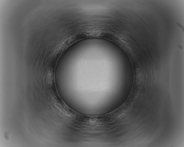 X0000101660641200807241418