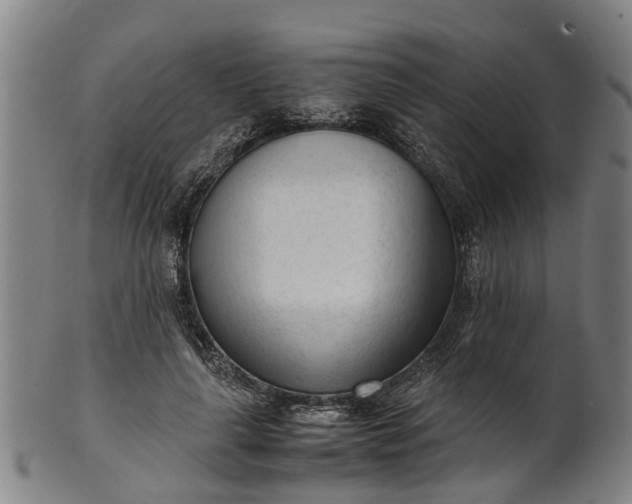 X0000101660643200807241418