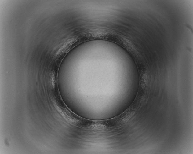 X0000101660644200807241418