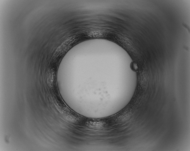 X0000101660645200807241418