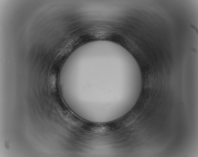 X0000101660646200807241418