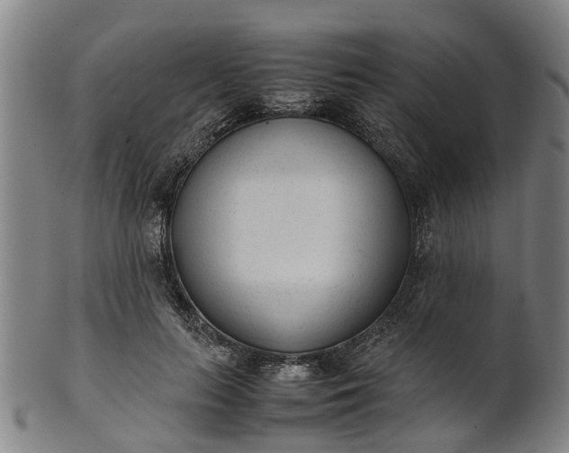 X0000101660647200807241418