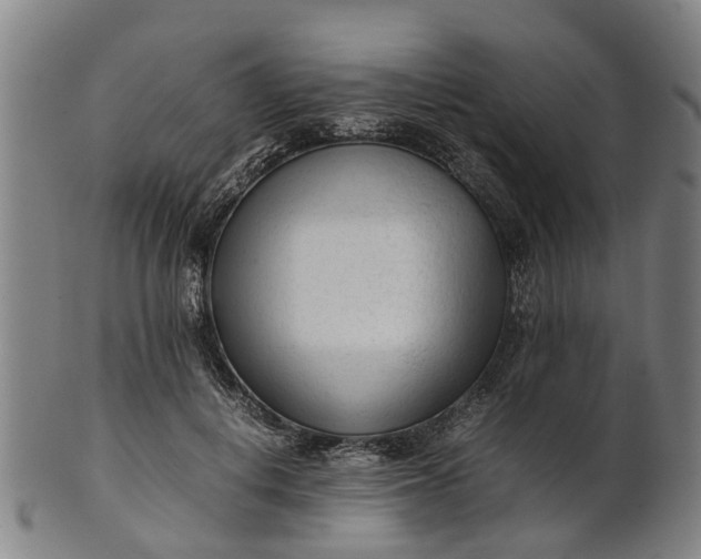 X0000101660648200807241418