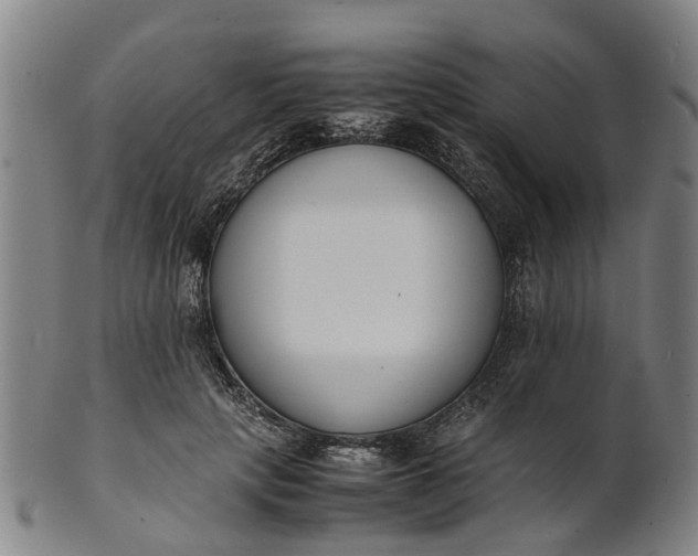 X0000101660649200807241418