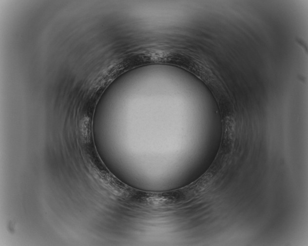 X0000101660650200807241418