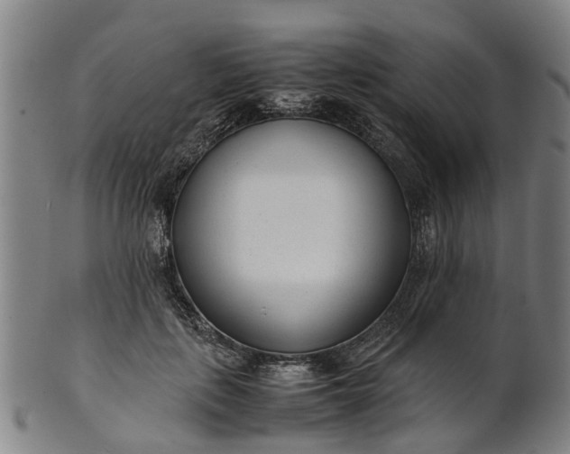 X0000101660651200807241418