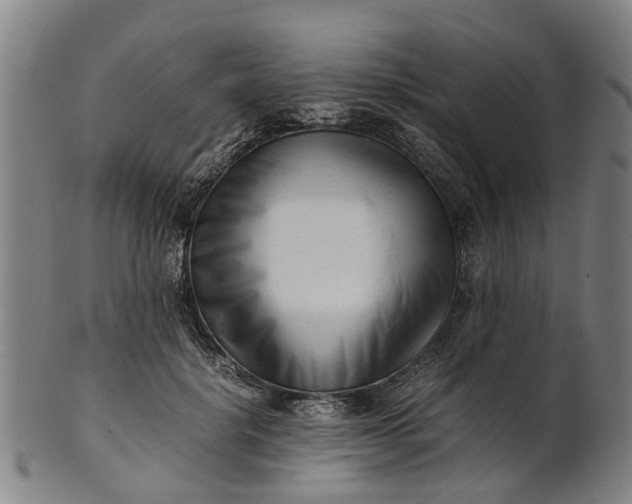 X0000101660652200807241418