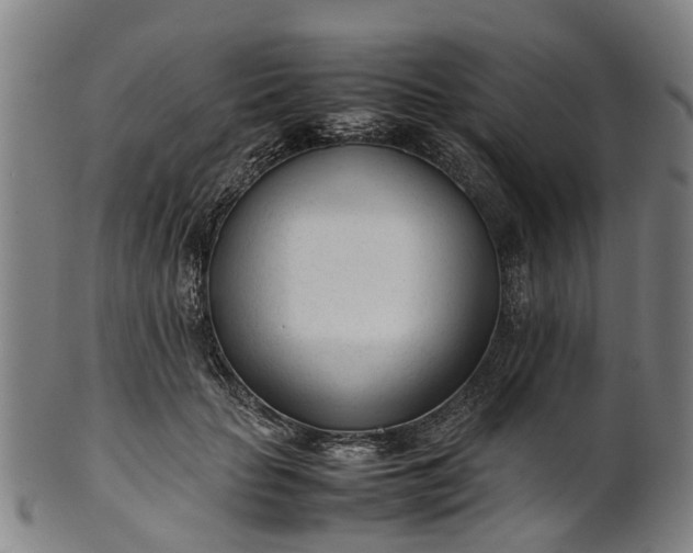 X0000101660653200807241418